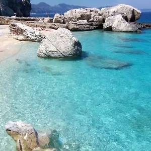 Purple Flower Cala Gonone